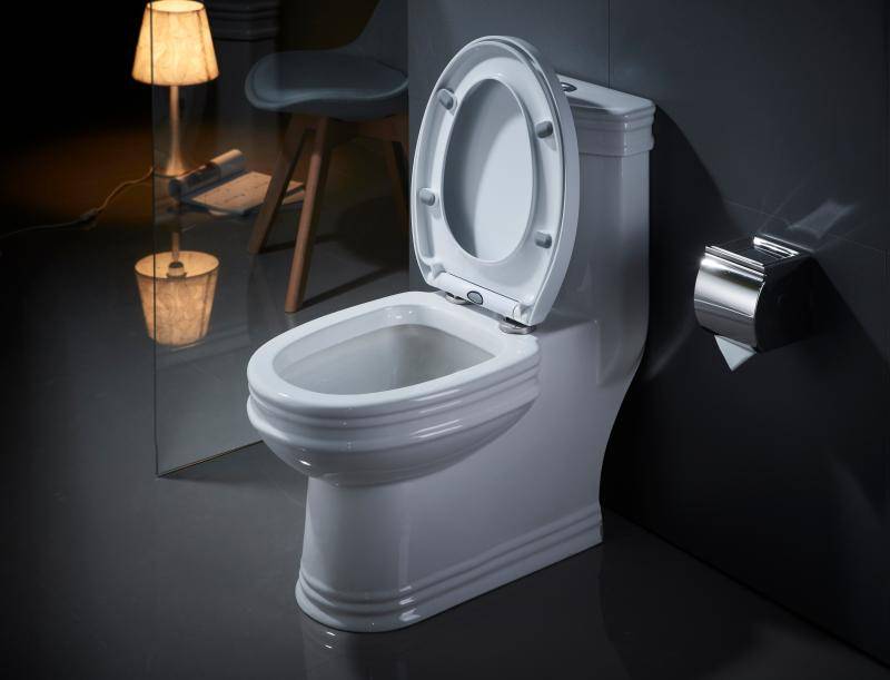 馬桶那種沖水方式好