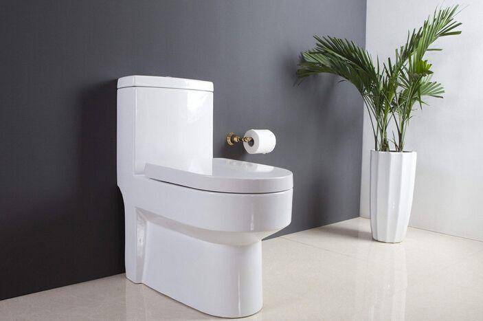 抽水馬桶堵的原因