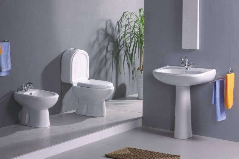 哪種馬桶沖水效果好