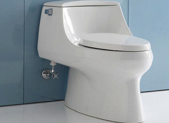 抽水馬桶堵了怎么辦