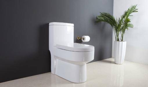 虹吸式馬桶原理