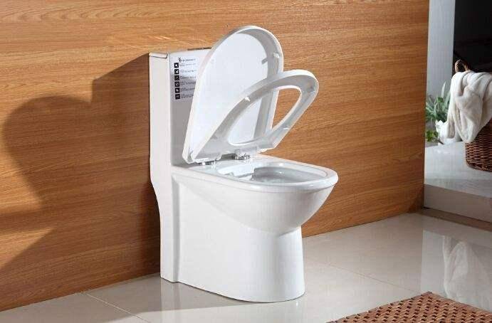 導(dǎo)致馬桶堵塞的原因