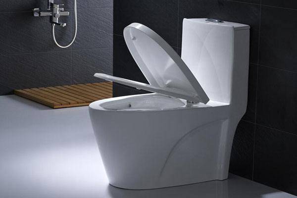 馬桶沖水方式哪種好