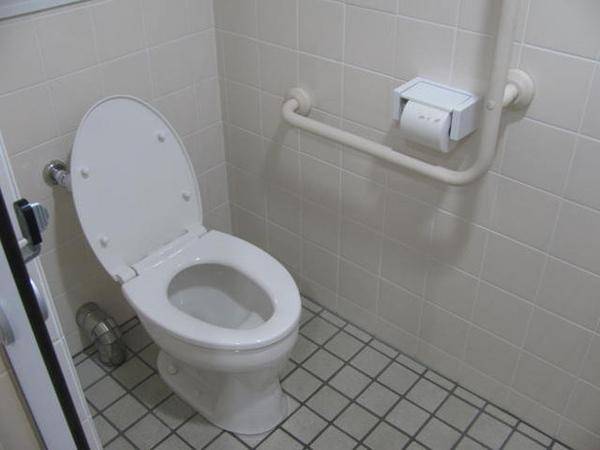 廁所堵了有什么妙招