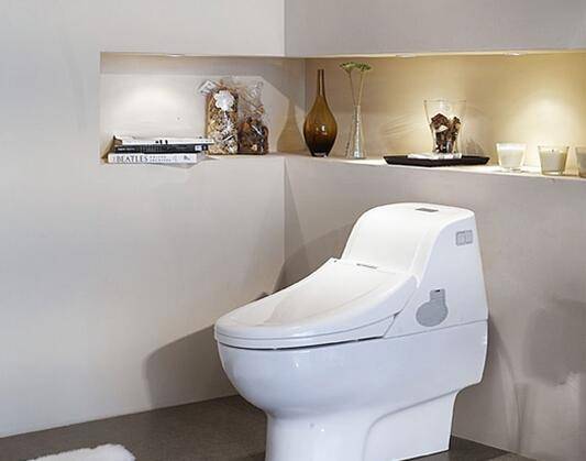 馬桶那種沖水方式好