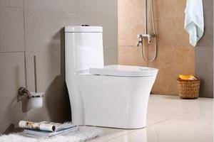 虹吸式馬桶原理