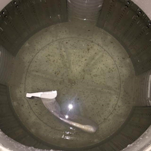 ������ϴϴ�C(j��) ϴ�C(j��)����ϴ�����Ͳ��E